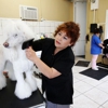 Mabel's Dog Grooming gallery