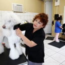 Mabel's Dog Grooming - Pet Grooming