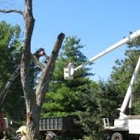 Giroux Tree Service