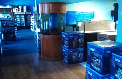 Tanks A Lot Aquariums 6680 Lantana Rd Lake Worth Fl Yp Com