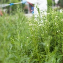 Brown's Integrated Pest Management - Pest Control Equipment & Supplies