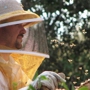 Burford & Sons Beekeeping