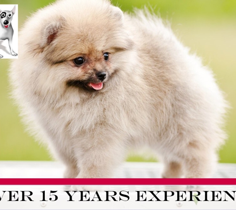 Litchfield Veterinary Hospital - Coolalinga, NT. Over 15 Years Experience