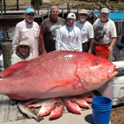 Mexico Beach Charters