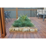 Gallery Image Number 7