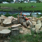 Precision Landscaping & Tree Service