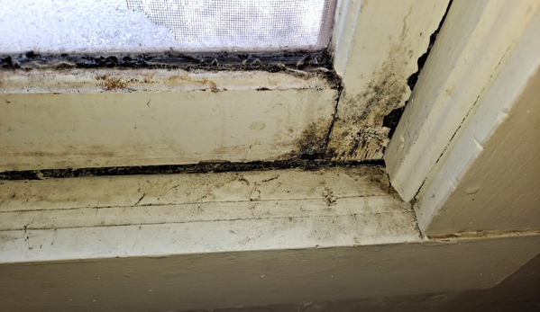 HK Environmental LLC - Nampa, ID. Mold sampling