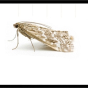 Gallery Image Number 5
