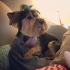 My Best Friends Grooming gallery