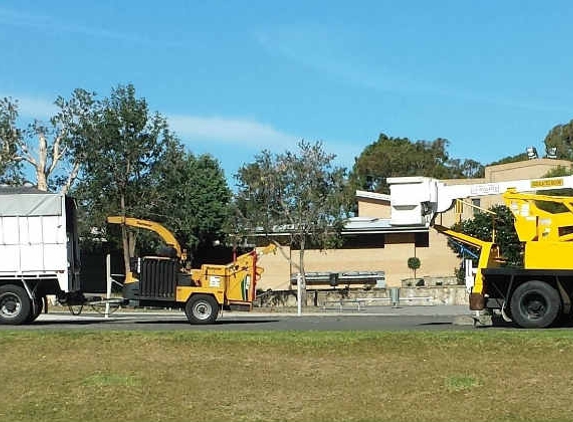 Tree Solutions - Rainbow Flat, NSW