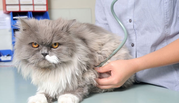 Peninsula Vet Care - Rye, VIC