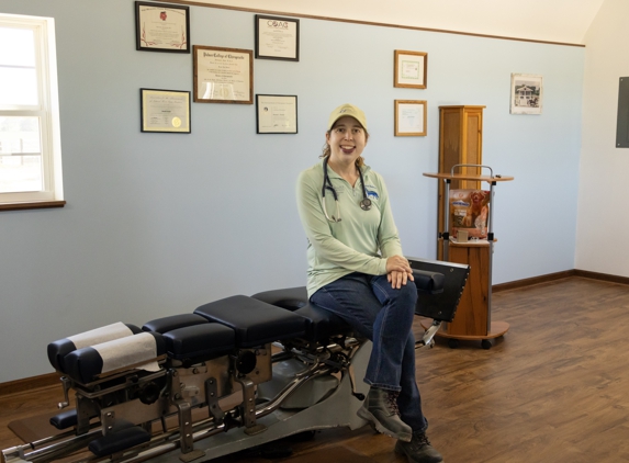 Equ.S.T. Chiropractic PLLC - Monroe Center, IL. Dr. Bonnie Harder DC