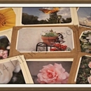 Lifeway Greeting Cards - Greeting Cards