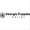 Georgia Puppies Online gallery