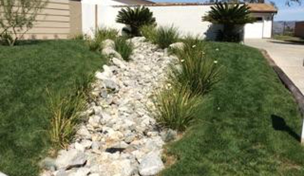 Medina's Landscaping - Newhall, CA. Palms, grass, and rocks lend variety to the landscaping.