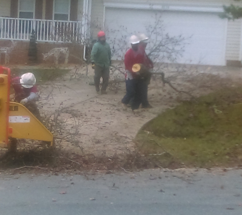 Carolina Tree And Lawn Maintnenance - Matthews, NC