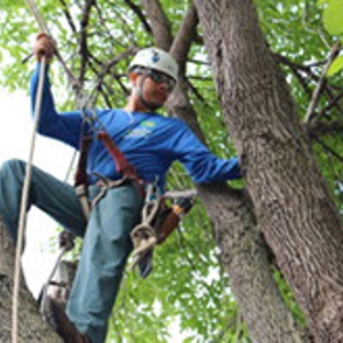 C.I.R. Tree Service - Houston, TX