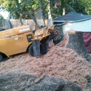 Ross Stump Grinding - Tree Service