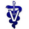 The Vet Clinic of Palm Harbor gallery