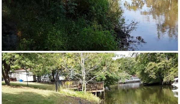 Southland Services - Locust Grove, VA. Clearing next to river bank