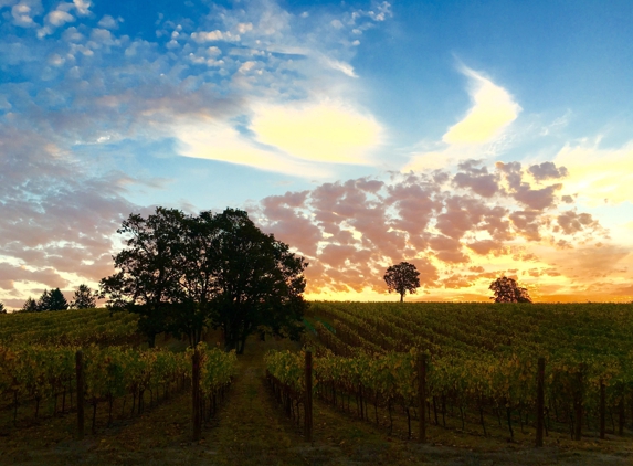 La Chouette Vineyard - Jefferson, OR