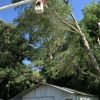 HLA Lawn & Tree Service gallery