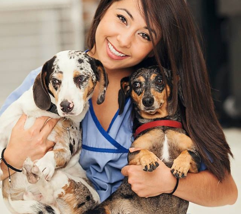 Mission Veterinary Clinic & Animal emergency Hospital - Granada Hills, CA