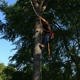 Gordon's Tree Service