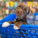 Petsense by Tractor Supply - Pet Stores