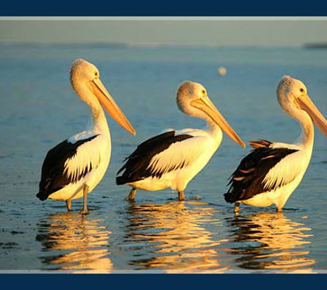 Kemp Real Estate Pty Ltd - Port Lincoln, SA