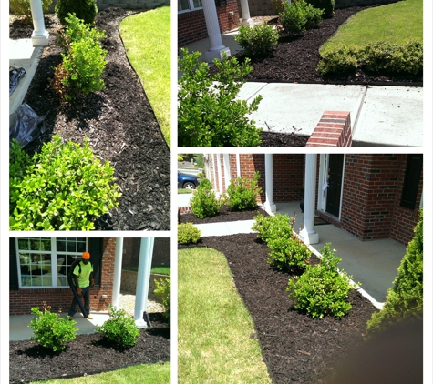 Allround Landscaping