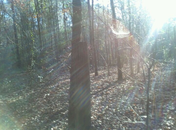 Possum Creek Skate Park - Gainesville, FL