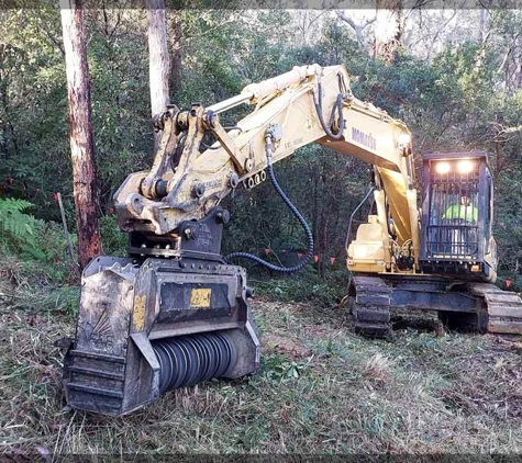 Eurobodalla Tree Services - Moruya, NSW