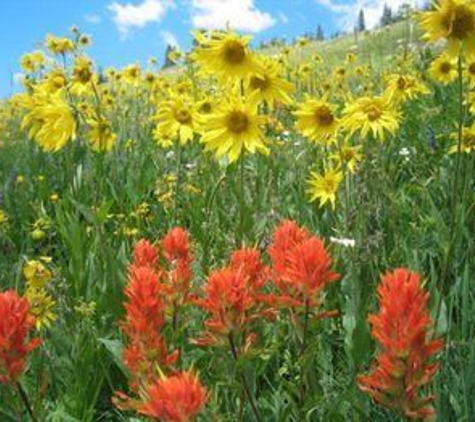 Cristiana Guesthaus - Crested Butte, CO