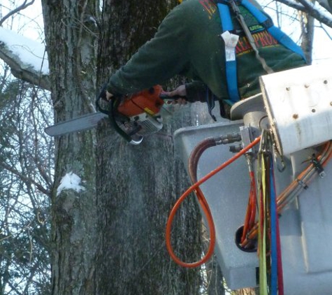 New England Tree Pros Inc - Monson, MA