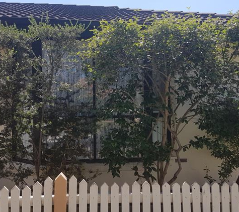 Clare Perry Occupational Therapy Services - Preston, VIC. Waist level hedge,, really??