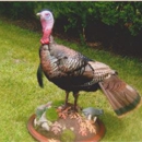 Sportsman's Pride Taxidermy - Taxidermists