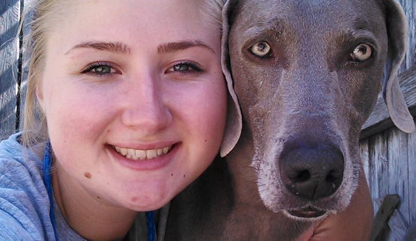 Tanglewood Kennels LLC - Saint Charles, IL. Alyse with Sukie weimaraner dog