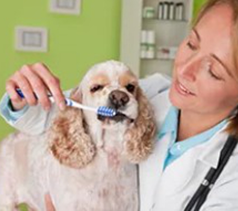 Spokane Valley Animal Hospital & Health Center - Spokane Valley, WA