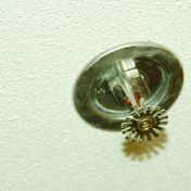 Gallery Image Number 5