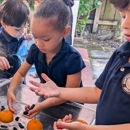 Montessori Children's Academy - Preschools & Kindergarten