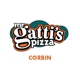 Mr Gatti's Pizza