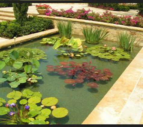 Laguna Koi Ponds - Laguna Beach, CA