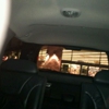 Walgreens gallery