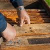 All American Termite and Pest Control gallery