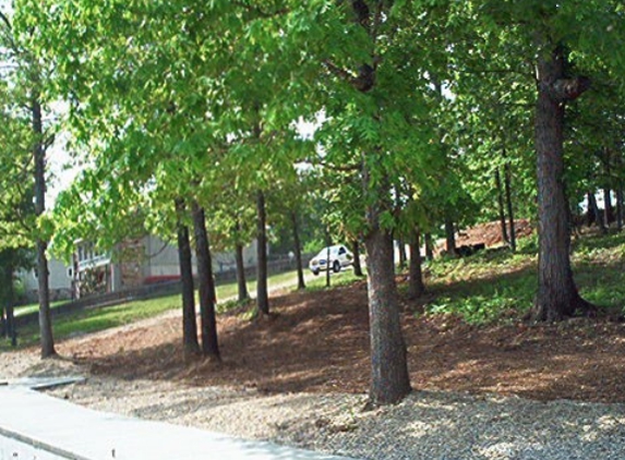 King-Rhodes & Associates Real Estate - Cherokee Village, AR. Lake Lot We Purchased