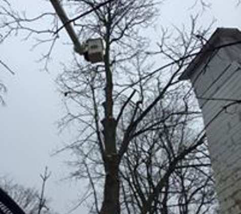 Dave's Tree Service LLC - Gregory, MI