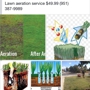 Gutierrez Tree Service & Landscaping