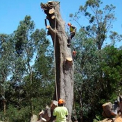 Gallery Image Number 7