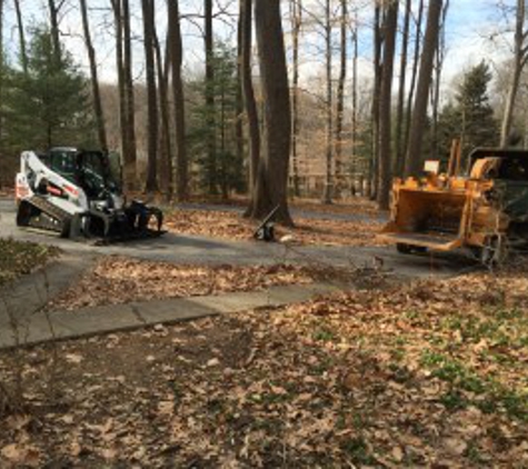 Manor Tree Service - Glen Arm, MD. Tree Service